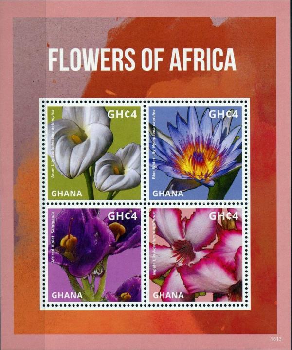 Colnect-3665-739-Flowers-of-Africa.jpg