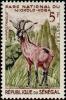 Colnect-504-433-Roan-Antelope-Hippotragus-equinus.jpg
