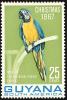 Colnect-2558-603-Millie---Blue-and-yellow-Macaw-Ara-ararauna-the-bilingual-.jpg