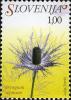 Colnect-712-515-Flowers-of-Slovenia---Eryngium-alpinum.jpg