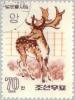 Colnect-2613-473-Fallow-deer-Dama-dama.jpg