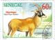 Colnect-1968-930-Roan-Antelope-Hippotragus-equinus.jpg