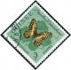 Colnect-540-689-Citrus-Swallowtail-Papilio-demodocus.jpg