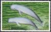 Colnect-2688-882-Irrawaddy-Dolphin-Orcaella-brevirostris.jpg