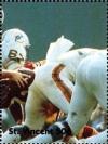Colnect-5985-256-1973---Miami-Dolphins---Washington-Redskins-2.jpg