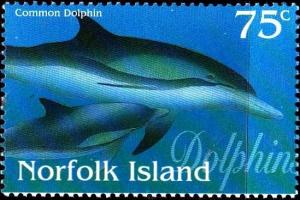 Colnect-2475-783-Common-Dolphins-Delphinus-delphis-.jpg