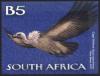 Cape-Vulture.jpg