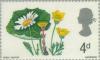 Colnect-4964-073-Ox-eye-Daisy-Coltsfoot-and-Buttercup-phosphor.jpg