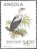 Colnect-1107-826-Palm-nut-Vulture-Gypohierax-angolensis.jpg