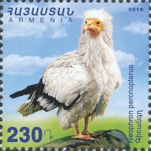 Colnect-4266-885-Egyptian-Vulture-Neophron-percnopterus.jpg