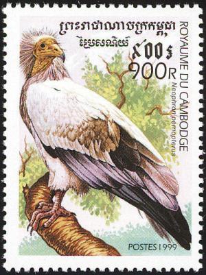 Colnect-1527-020-Egyptian-Vulture-Neophron-percnopterus.jpg