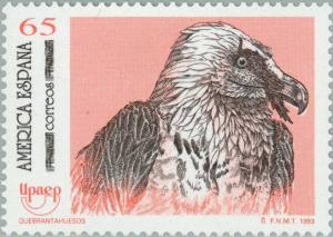 Colnect-178-954-Bearded-Vulture-Gypaetus-barbatus-.jpg