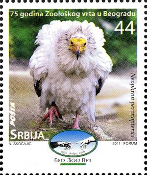 Colnect-5088-275-Egyptian-Vulture-Neophron-percnopterus.jpg