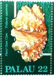 Colnect-5880-123-Fluted-Giant-Clam.jpg