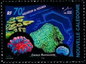 Colnect-857-190-Fluorescent-Coral.jpg
