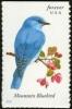 Colnect-2170-423-Mountain-Bluebird-Sialia-currucoides.jpg