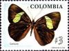 Colnect-564-301-Butterfly-Callicore-macherii.jpg
