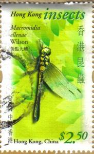 Colnect-969-040-Dragonfly-Macromidia-ellenae.jpg