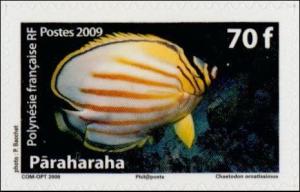 Colnect-1154-237-Clown-Butterflyfish-Chaetodon-ornatissimus.jpg
