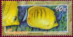Colnect-1724-389-Spot-banded-Butterflyfish-Chaetodon-punctatofasciatus.jpg