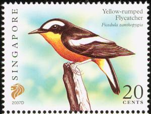 Colnect-2703-696-Yellow-rumped-Flycatcher-Ficedula-zanthopygia.jpg