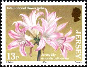 Colnect-6047-708-Jersey-Lily---Amaryllis-belladonna.jpg