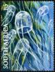Colnect-5423-392-Box-Jellyfish-Carybdea-branchi.jpg