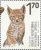 Colnect-5131-750-Lynx-lynx-kitten.jpg