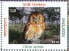 Colnect-1719-973-Oriental-Scops-Owl-Otus-sunia.jpg