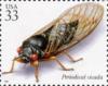 Colnect-201-334-Periodical-Cicada-Magicicada-sp-.jpg