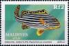 Colnect-4172-542-Indian-Ocean-Oriental-Sweetlips-Plectorhinchus-vittatus.jpg