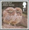 Colnect-5259-617-Little-Owl-chicks---Athene-noctua.jpg