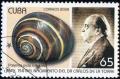 Colnect-1572-850-Cuban-Land-Snail-Polymita-picta-ssp-iolimbata.jpg