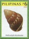 Colnect-2889-257-Land-Snail-Helicostyla-bicolorata.jpg