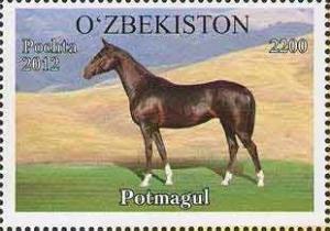 Colnect-1308-518--Potmagul--Equus-ferus-caballus.jpg