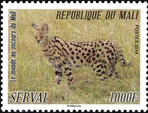 Colnect-2678-257-Serval-Leptailurus-serval.jpg