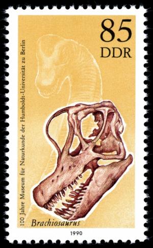 Colnect-357-624-Skull-of-Brachiosaurus.jpg