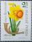 Colnect-674-577-Wild-Daffodil-Narcissus-pseudonarcissus.jpg
