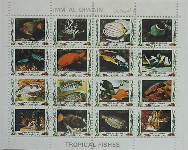 Colnect-2433-729-Tropical-fishes--small-format.jpg