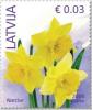 Colnect-1928-515-Wild-Daffodil-Narcissus-pseudonarcissus.jpg