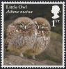 Colnect-4978-994-Little-Owl-chicks---Athene-noctua.jpg