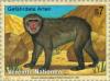 Colnect-139-073-Barbary-Macaque-Macaca-sylvanus.jpg