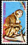 Colnect-1474-882-Rhesus-Macaque-Macaca-mulatta.jpg