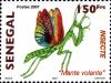 Colnect-1618-996-Mantis-Mantis-sp.jpg