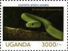Colnect-3053-192-Eastern-Green-Mamba-Dendroaspis-angusticeps.jpg