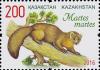 Colnect-4316-731-Pine-Marten-Martes-martes.jpg