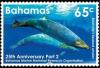 Colnect-4390-146-25th-Anniversary-of-Marine-Mammal-Research-Organization.jpg