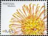 Colnect-546-326-Madeira-Flowers.jpg