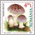 Colnect-4430-402-Amanita-rubescens.jpg