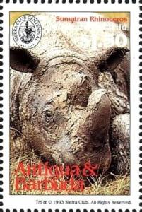 Colnect-4112-689-Sumatran-rhinoceros.jpg